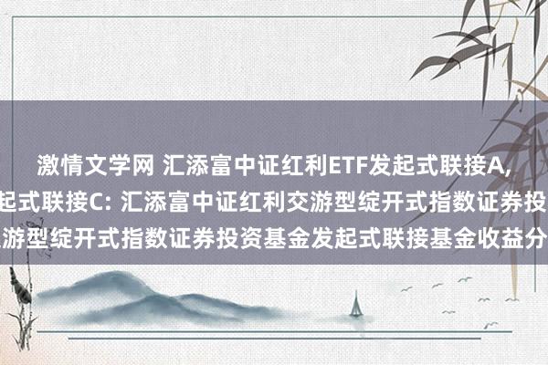 激情文学网 汇添富中证红利ETF发起式联接A，汇添富中证红利ETF发起式联接C: 汇添富中证红利交游型绽开式指数证券投资基金发起式联接基金收益分拨公告
