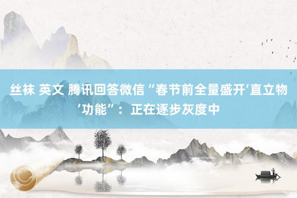 丝袜 英文 腾讯回答微信“春节前全量盛开‘直立物’功能”：正在逐步灰度中