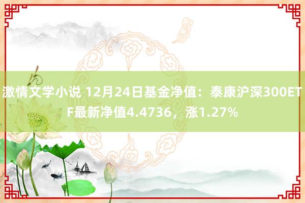 激情文学小说 12月24日基金净值：泰康沪深300ETF最新净值4.4736，涨1.27%