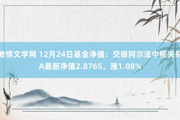 激情文学网 12月24日基金净值：交银阿尔法中枢夹杂A最新净值2.8765，涨1.08%