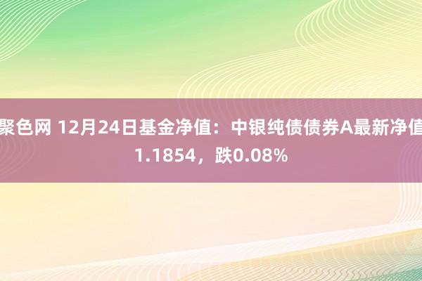 聚色网 12月24日基金净值：中银纯债债券A最新净值1.1854，跌0.08%