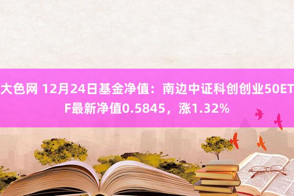 大色网 12月24日基金净值：南边中证科创创业50ETF最新净值0.5845，涨1.32%