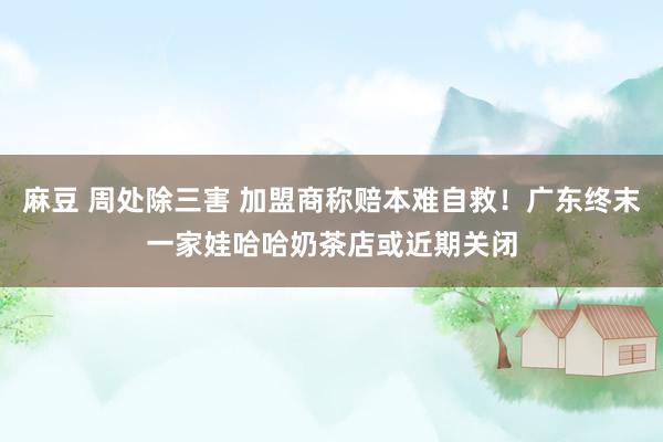 麻豆 周处除三害 加盟商称赔本难自救！广东终末一家娃哈哈奶茶店或近期关闭