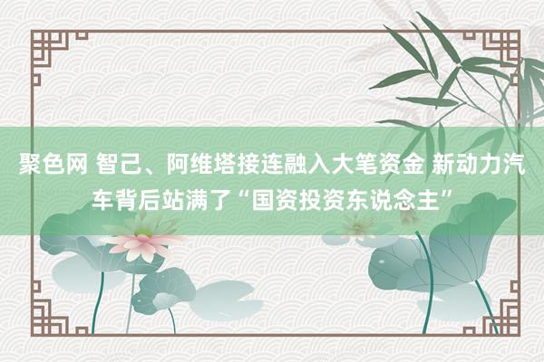 聚色网 智己、阿维塔接连融入大笔资金 新动力汽车背后站满了“国资投资东说念主”