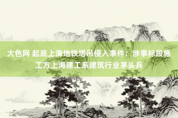 大色网 起底上海地铁塔吊侵入事件：涉事标段施工方上海建工系建筑行业茅头兵