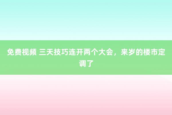 免费视频 三天技巧连开两个大会，来岁的楼市定调了