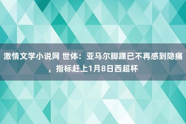 激情文学小说网 世体：亚马尔脚踝已不再感到隐痛，指标赶上1月8日西超杯