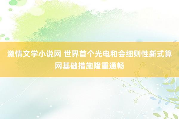 激情文学小说网 世界首个光电和会细则性新式算网基础措施隆重通畅