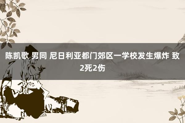 陈凯歌 男同 尼日利亚都门郊区一学校发生爆炸 致2死2伤