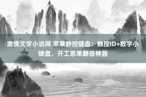 激情文学小说网 苹果妙控键盘：触控ID+数字小键盘，开工恶果翻倍神器