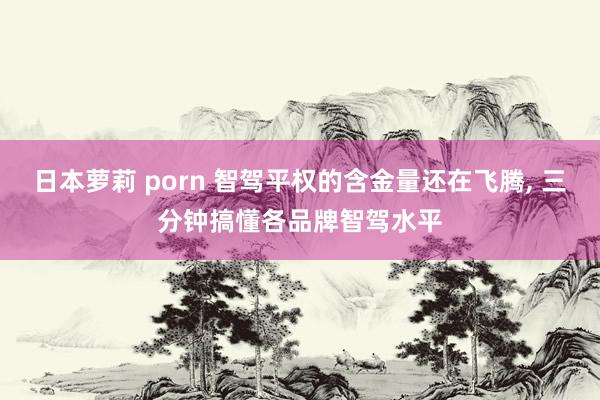日本萝莉 porn 智驾平权的含金量还在飞腾， 三分钟搞懂各品牌智驾水平