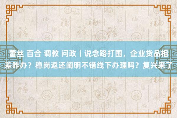 蕾丝 百合 调教 问政丨说念路打围，企业货品相差咋办？稳岗返还阐明不错线下办理吗？复兴来了