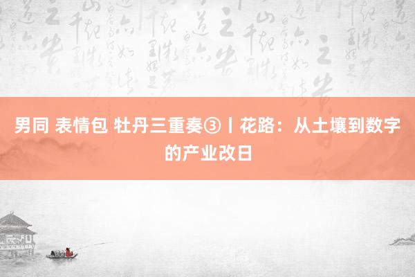 男同 表情包 牡丹三重奏③丨花路：从土壤到数字的产业改日