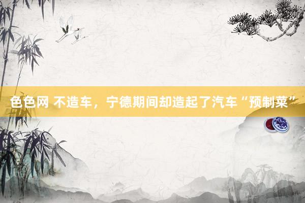 色色网 不造车，宁德期间却造起了汽车“预制菜”