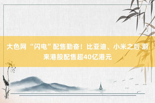 大色网 “闪电”配售勤奋！比亚迪、小米之后 蔚来港股配售超40亿港元